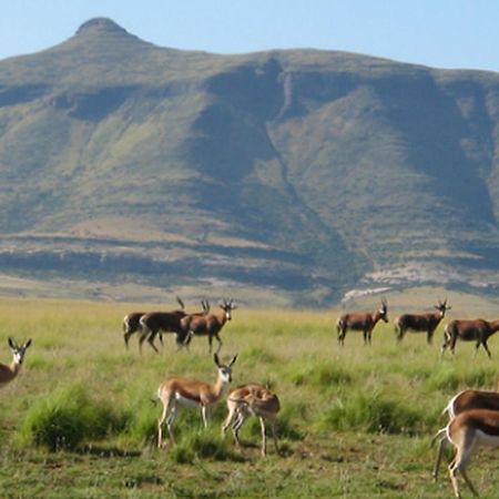 Moolmanshoek Private Game Reserve Hotel Ficksburg Exterior photo