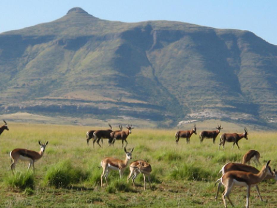 Moolmanshoek Private Game Reserve Hotel Ficksburg Exterior photo